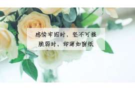 为什么分手挽回难忘的人:情感纠葛背后的心理解读 为什么分手挽回难忘的人:情感纠葛背后的心理解读